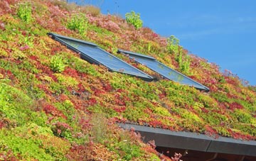 Wirksworth Moor living roof systems
